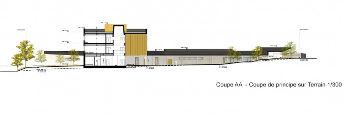 projet COLLEGE 